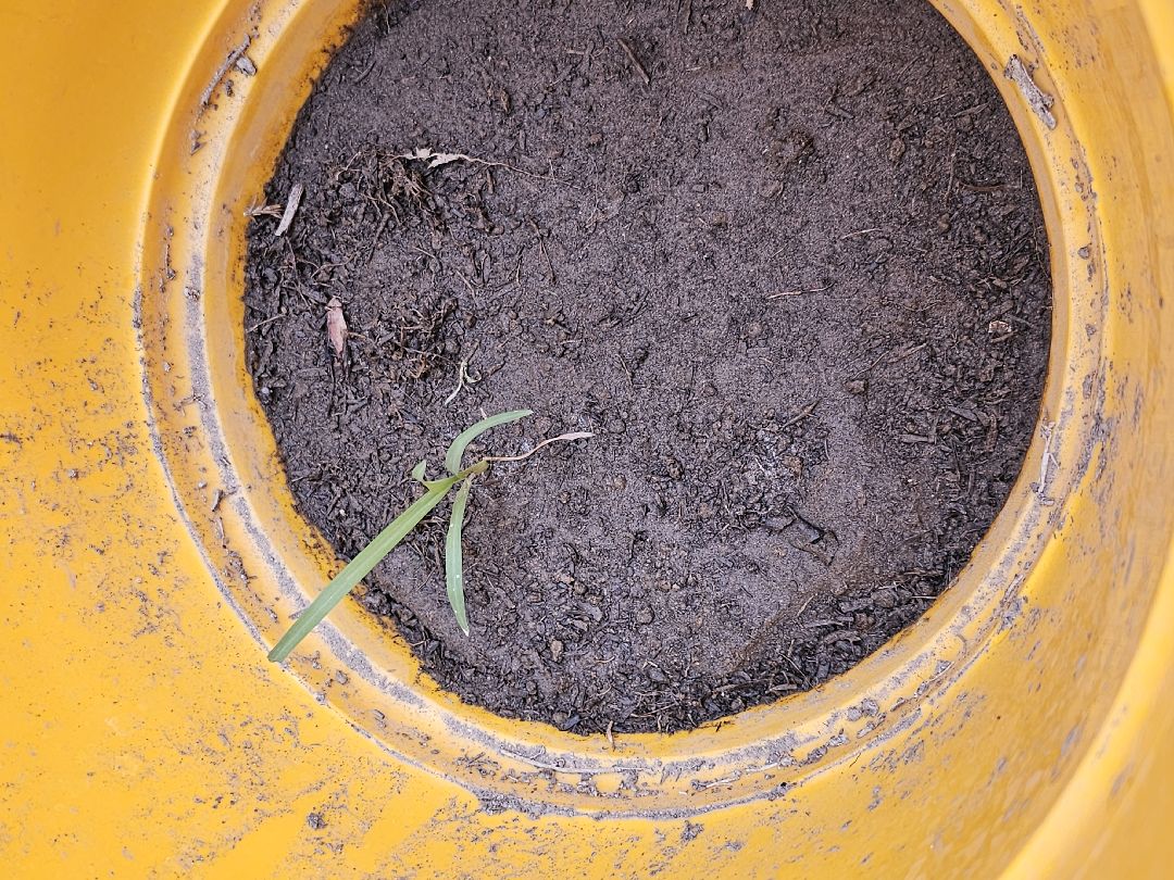 I know I will be strong and stand again