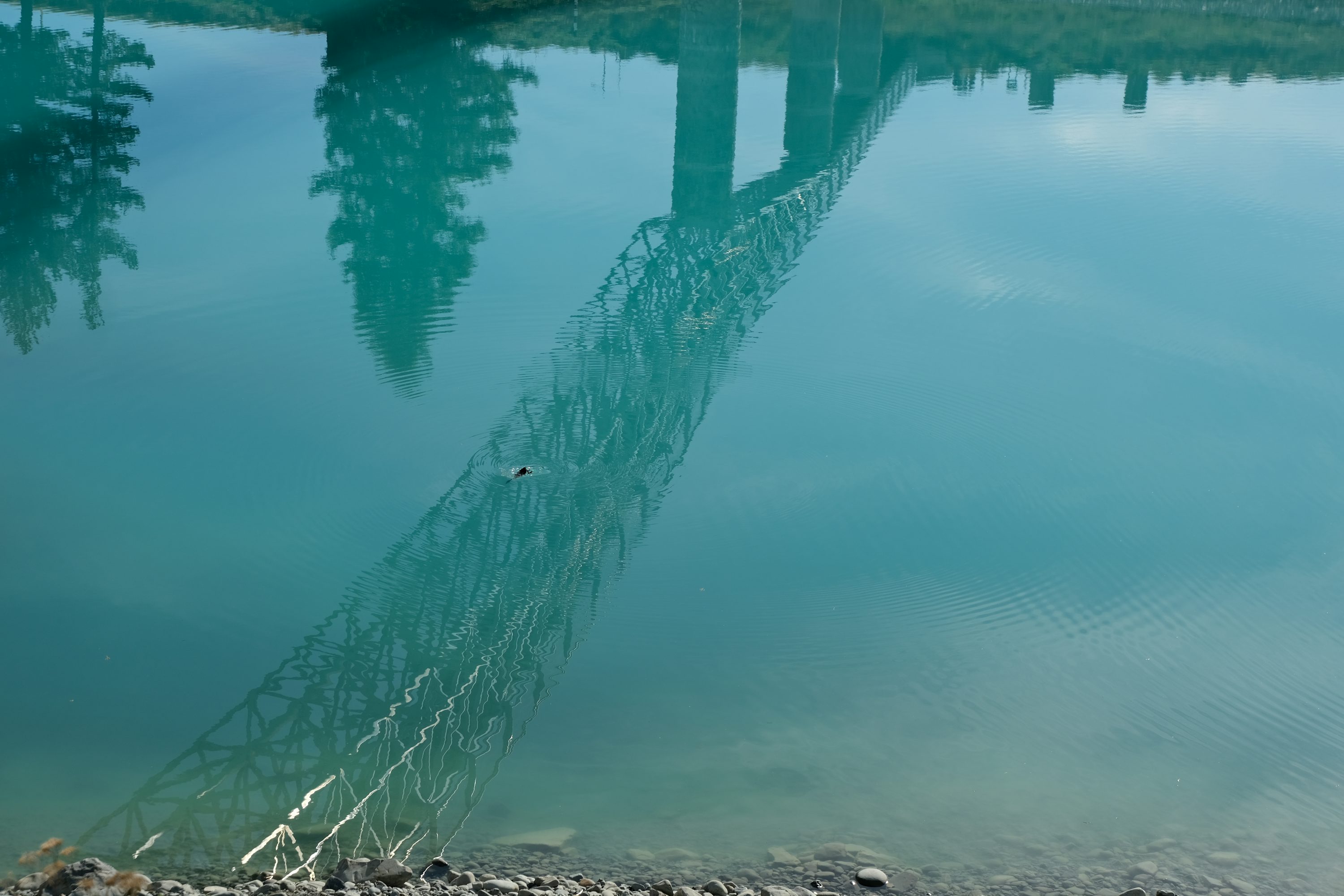 Trying to stay positive, but it's tough.