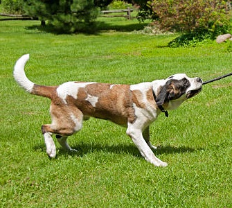 Missing her care and affection