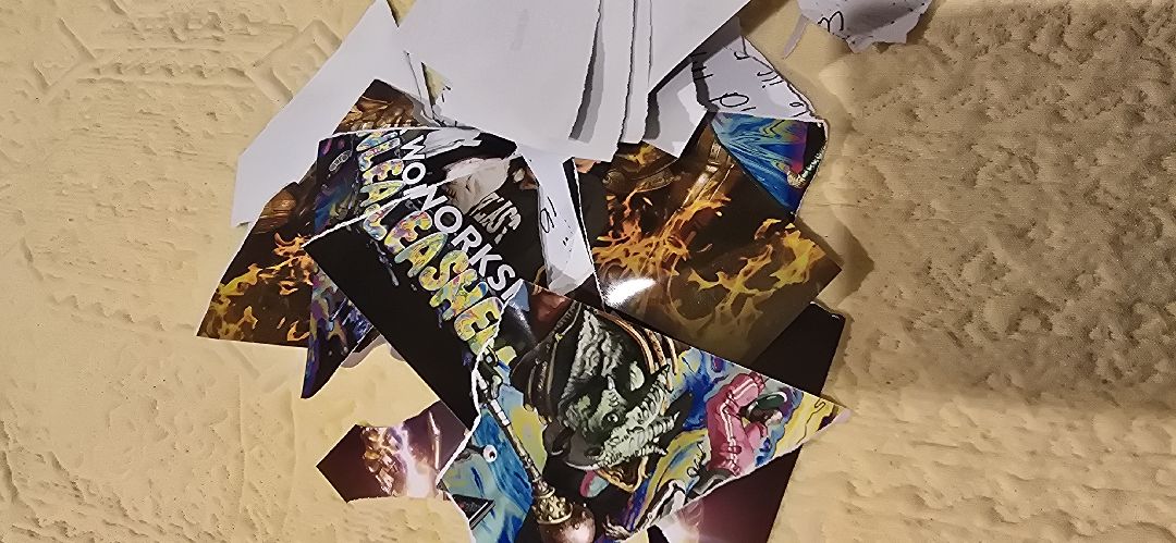 our pictures and my journal about his deception 