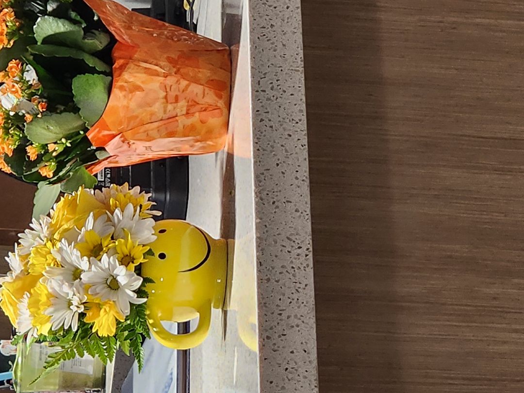 That flower pot seems happy