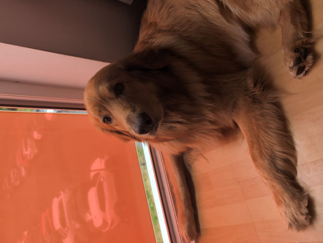 I do not need to really on a man