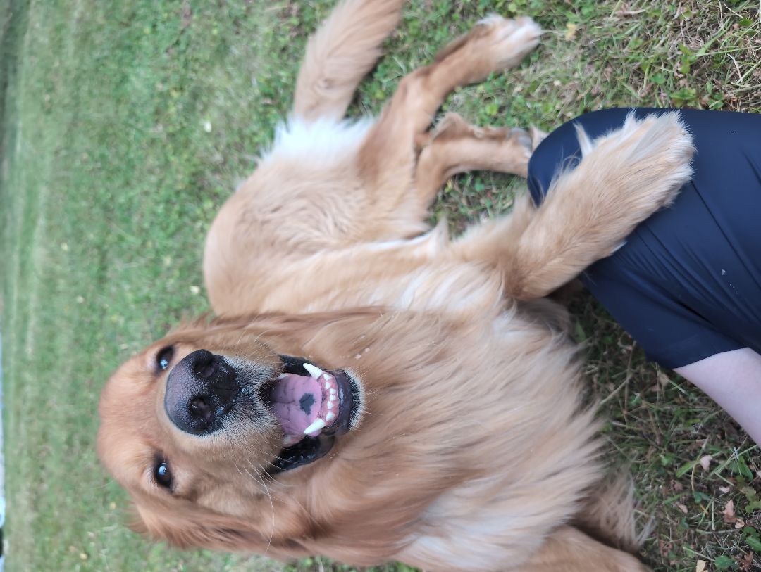 I must believe WILL find someone who will see my care and sensitivity as a merit