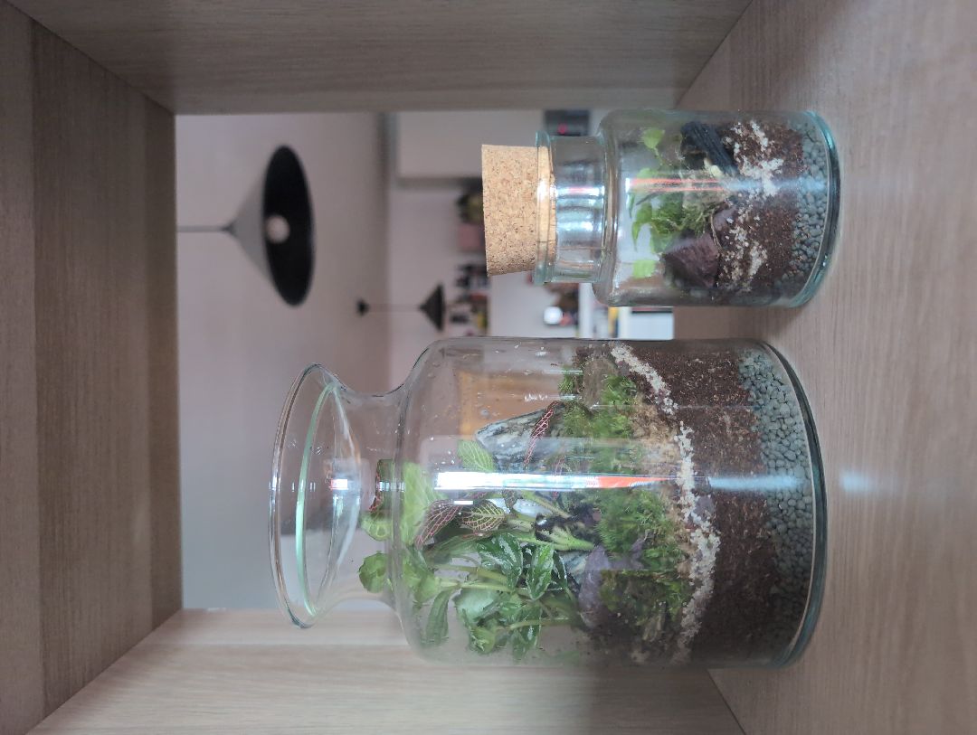 Trying new things! Yesterday