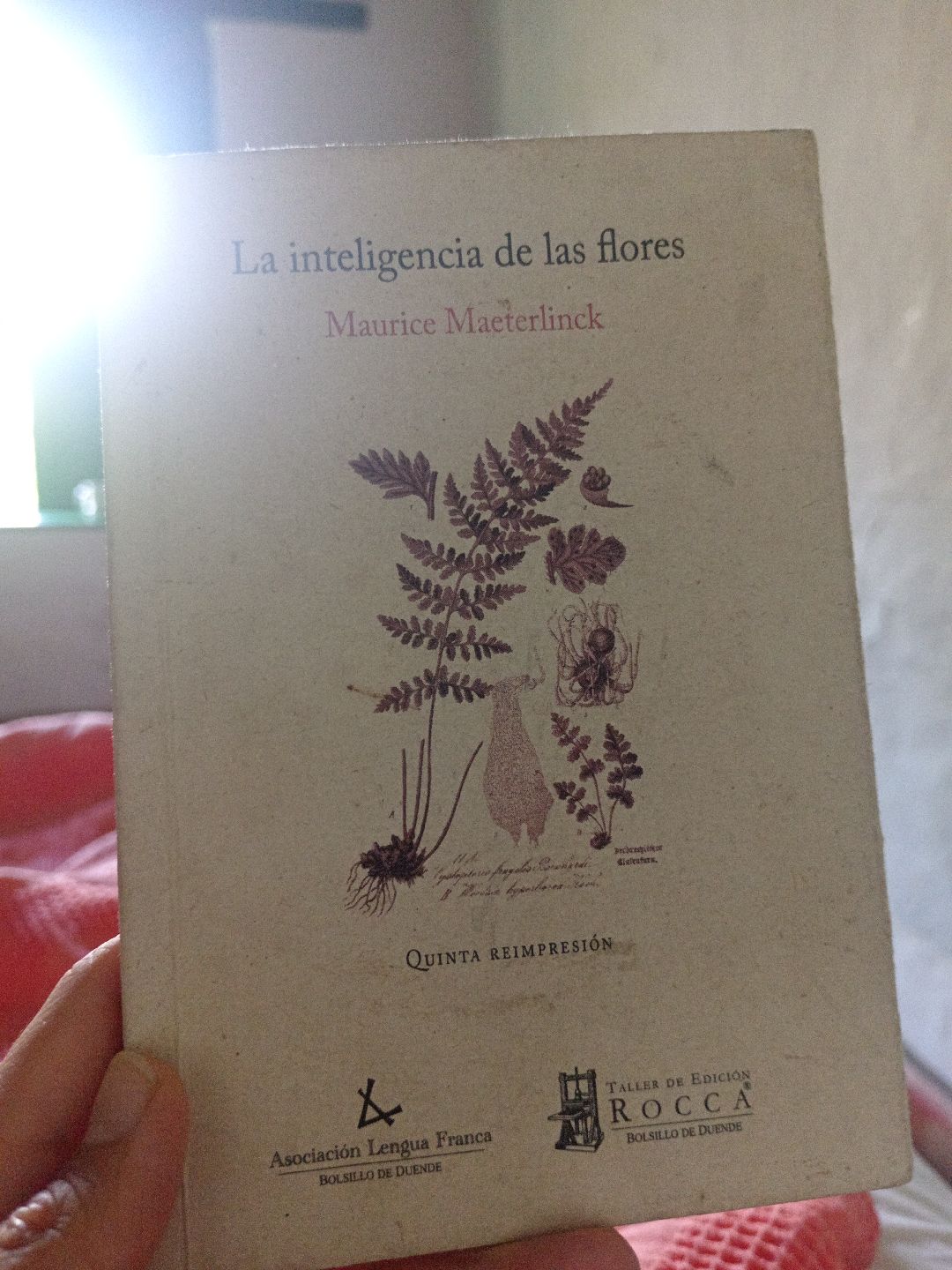 philosophy and biology in one