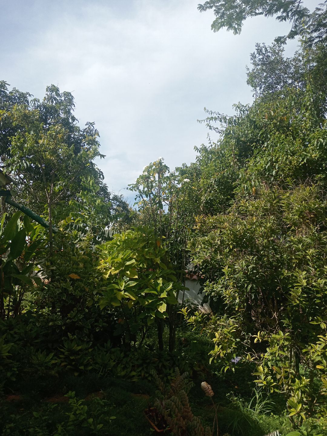 nature always inspires