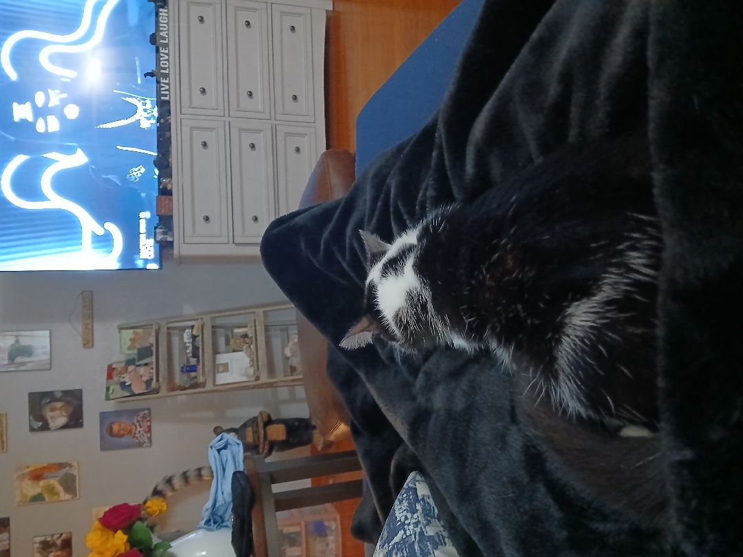 God blessing me, and sticking with me.