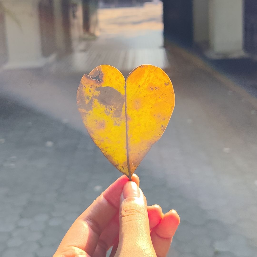 Why a fallen leaf reminds me of my heartbreak