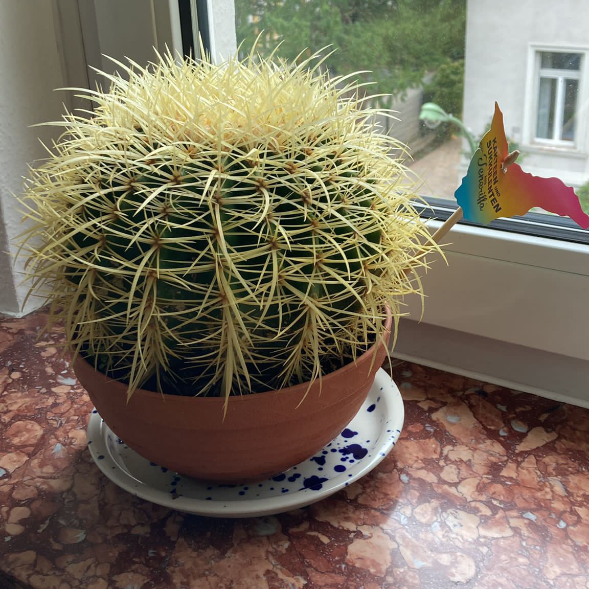 MissG, author profile picture