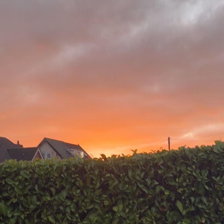 usermkj28 profile picture