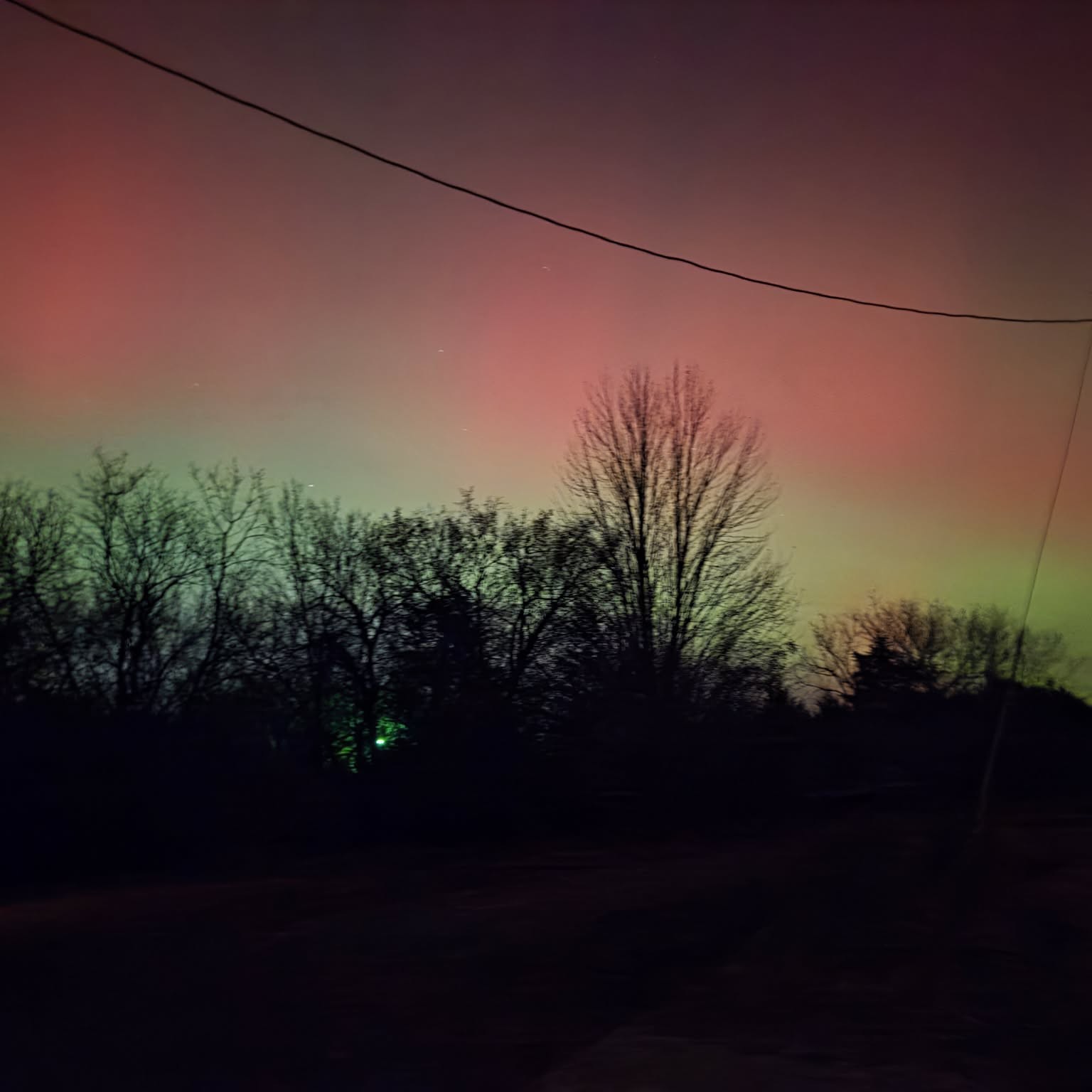 swatraidme profile picture