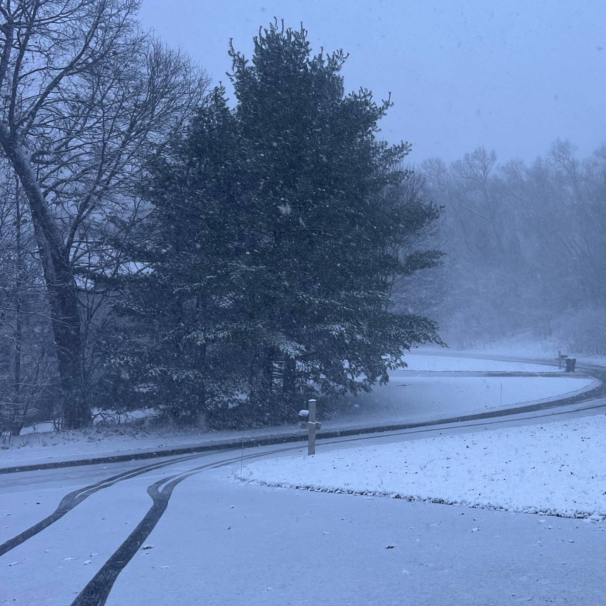 PicklyPercy profile picture