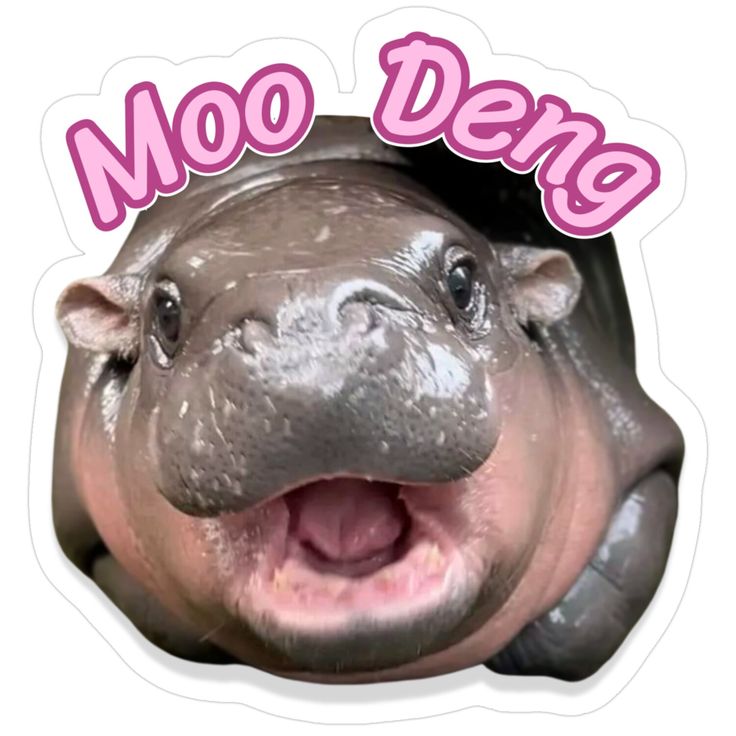 Sofietaekook, author profile picture