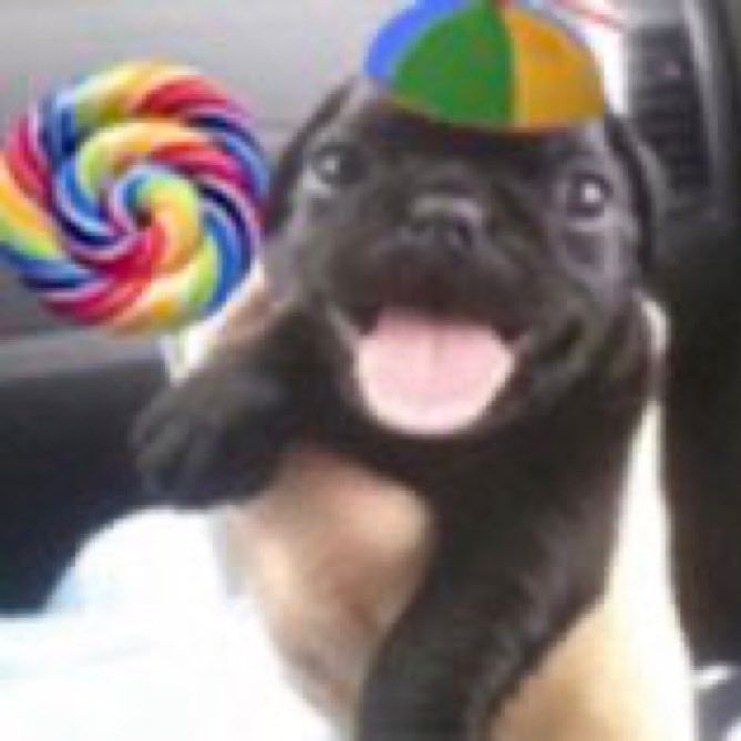 iloveseals, author profile picture