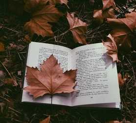 acheHeart profile picture