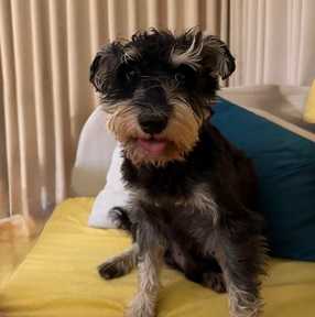 hiddengem profile picture