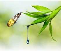 Jamila profile picture