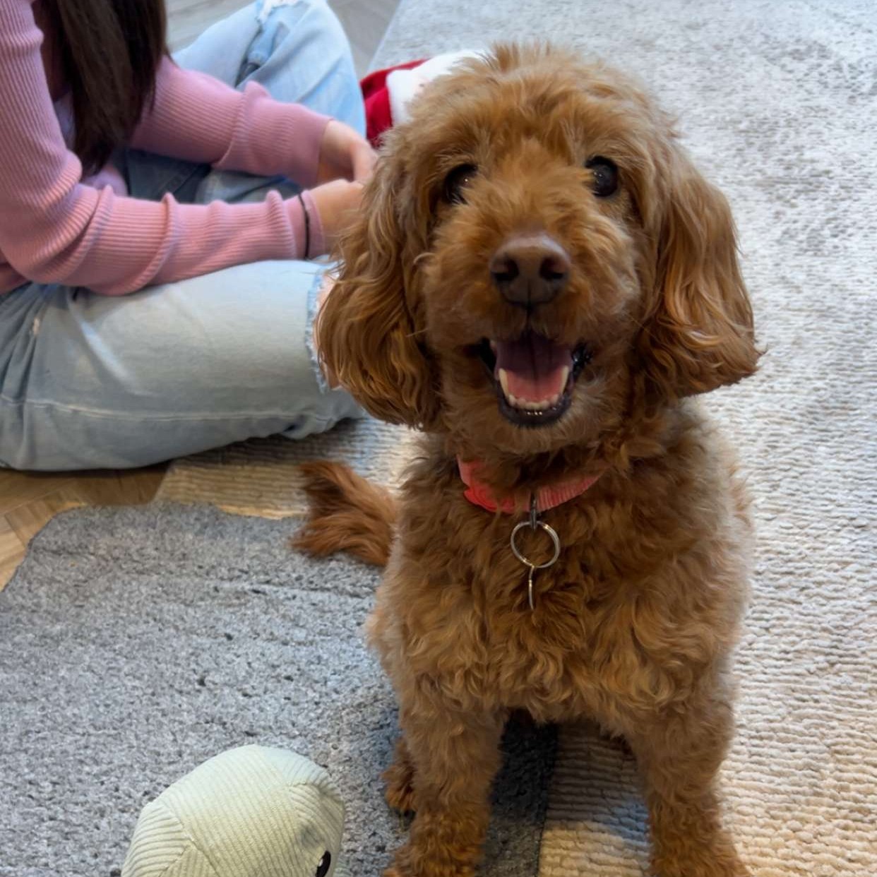 Asteroid profile picture