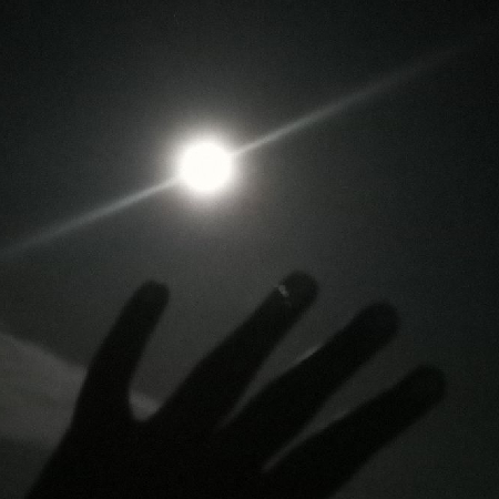 Moonlight01