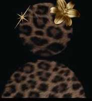 Orchid22