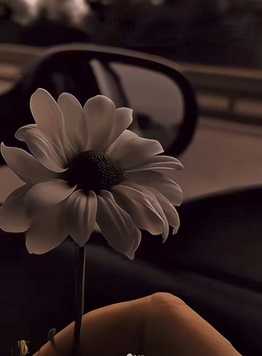 Topclass01