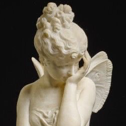 butterflyidm